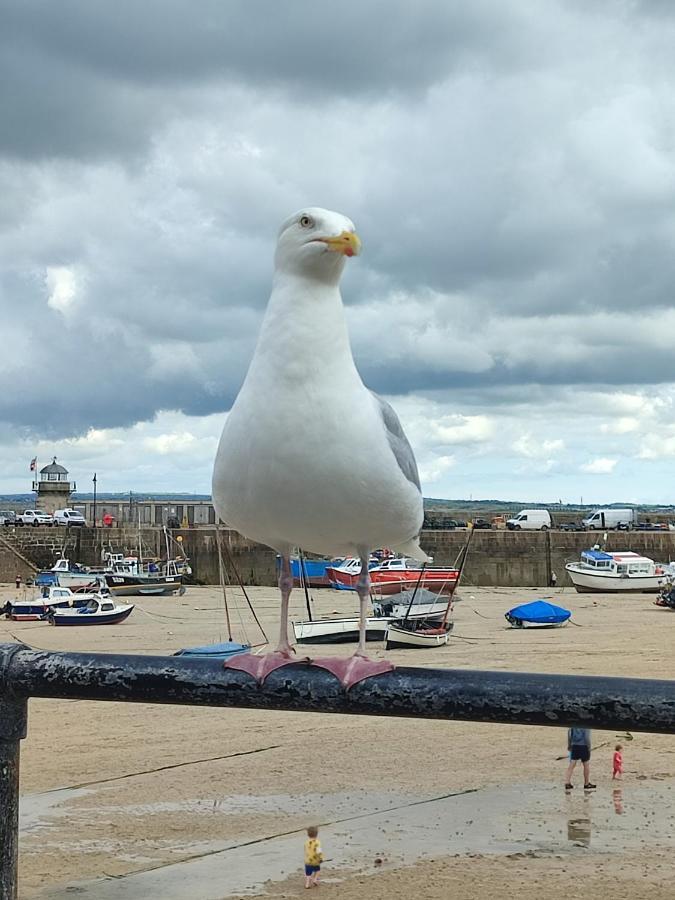 Cheerful Fisherman,s Сasa de vacaciones St Ives